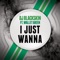 I Just Wanna (DJ Edit) [feat. Wallet Green] - DJ Blackskin lyrics