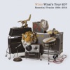 What's Your 20? Essential Tracks 1994 - 2014, 2014