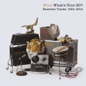 Hate it Here by Wilco