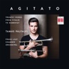 Tamás Palfalvi - Suite in D Major, HWV 341: II. Allegro