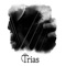 Kaustileinen - TRIAS lyrics