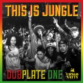 Congo Natty - Kunta Kinte (feat. Tribe Of Issachar & Jah Cure)