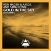 Ron Hagen & A.R.D.I. and Sarah Lynn - Gold In The Sky (Signum Remix)