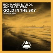 Gold in the Sky (Signum Mix) artwork
