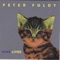 Carly - Peter Foldy lyrics