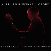 The Remedy (Live at the Village Vanguard) artwork