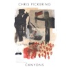 Chris Pickering - Canyons