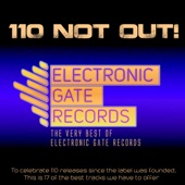 110 Not Out!: The Very Best of Electronic Gate Records artwork