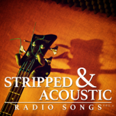 Stripped & Acoustic Radio Songs, Vol. 3 - Veer Glider