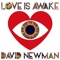 Awakened - David Newman lyrics