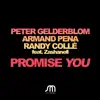 Promise You (feat. Zashanell) - Single album lyrics, reviews, download