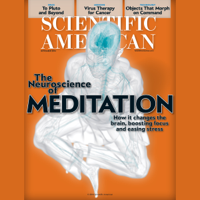 Scientific American, November 2014