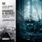Swamps & Stars - Changes & Recruit lyrics