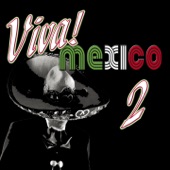 Viva México, Vol. 2 artwork