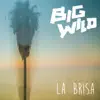 Stream & download La Brisa - Single