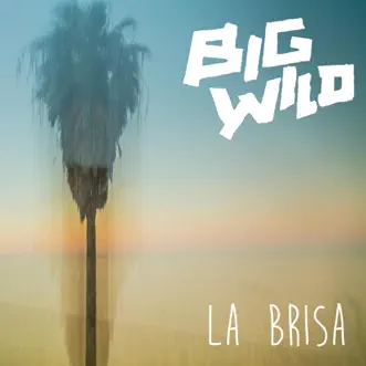 La Brisa by Big Wild song reviws