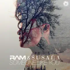 Someone Like You Song Lyrics