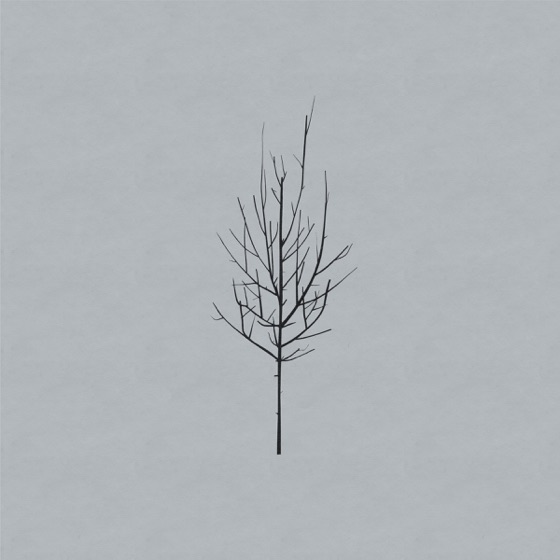Cover artwork for No Comprende