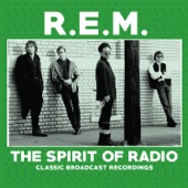 R.E.M. - You Are The Everything (Live)