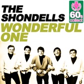 The Shondells - Wonderful One (Remastered)