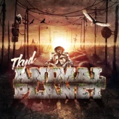 Animal Planet artwork