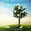 Guided Meditation ★ Manifest Money NOW ★ album lyrics, reviews, download