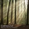 Babbling Brook - Calmsound lyrics