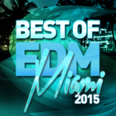 Best of EDM: Miami 2015 - Various Artists
