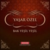 Bak Yeşil Yeşil - Single