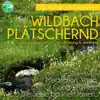 Wildbach plätschernd (Naturklang zum Entspannen) album lyrics, reviews, download