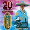 20 Alabanzas Guadalupanas