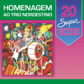 20 Super Sucessos: Homenagem ao Trio Nordestino - Various Artists