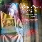 Pan-Pipes and Organ (Flûte de Pan et orgue) artwork