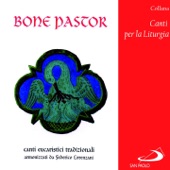 Collana canti per la liturgia: Bone Pastor (Canti eucaristici tradizionali) artwork