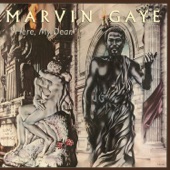 Falling In Love Again by Marvin Gaye