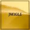 Jungle (Deluxe Edition)