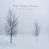 Bach Meets Celesta - Goldberg Variation album lyrics, reviews, download