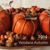 Vendace Autumn 2014