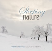 SLEEPING NATURE Ambient & New Age Music to Ease the Mind