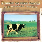 Pickin' On Pink Floyd: A Bluegrass Tribute artwork