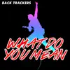 What Do You Mean (Instrumental) song lyrics