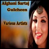 Afghani Sartaj Gulcheen, Vol. 18, 2015