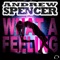 What a Feeling (Cassey Doreen Remix Edit) - Andrew Spencer lyrics
