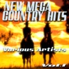New Mega Country Hits, Vol. 1