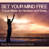 Refreshing Focus Music - Perfect for Yoga & Study artwork