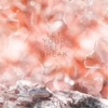 Joel Ansett - Let Yourself Break