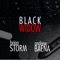 Black Widow (Metal Cover) - Andrew Baena & Brian Storm lyrics