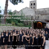 Orquestra Simfònica de Joves Intèrprets dels Països Catalans (OJIPC) 2007 artwork
