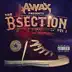 The B-Section (Compilation) album cover