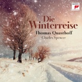 Winterreise, D. 911: No. 4, Erstarrung artwork